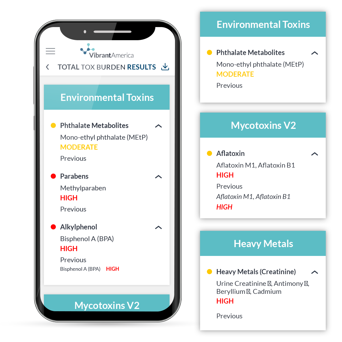 Toxic Burden Test