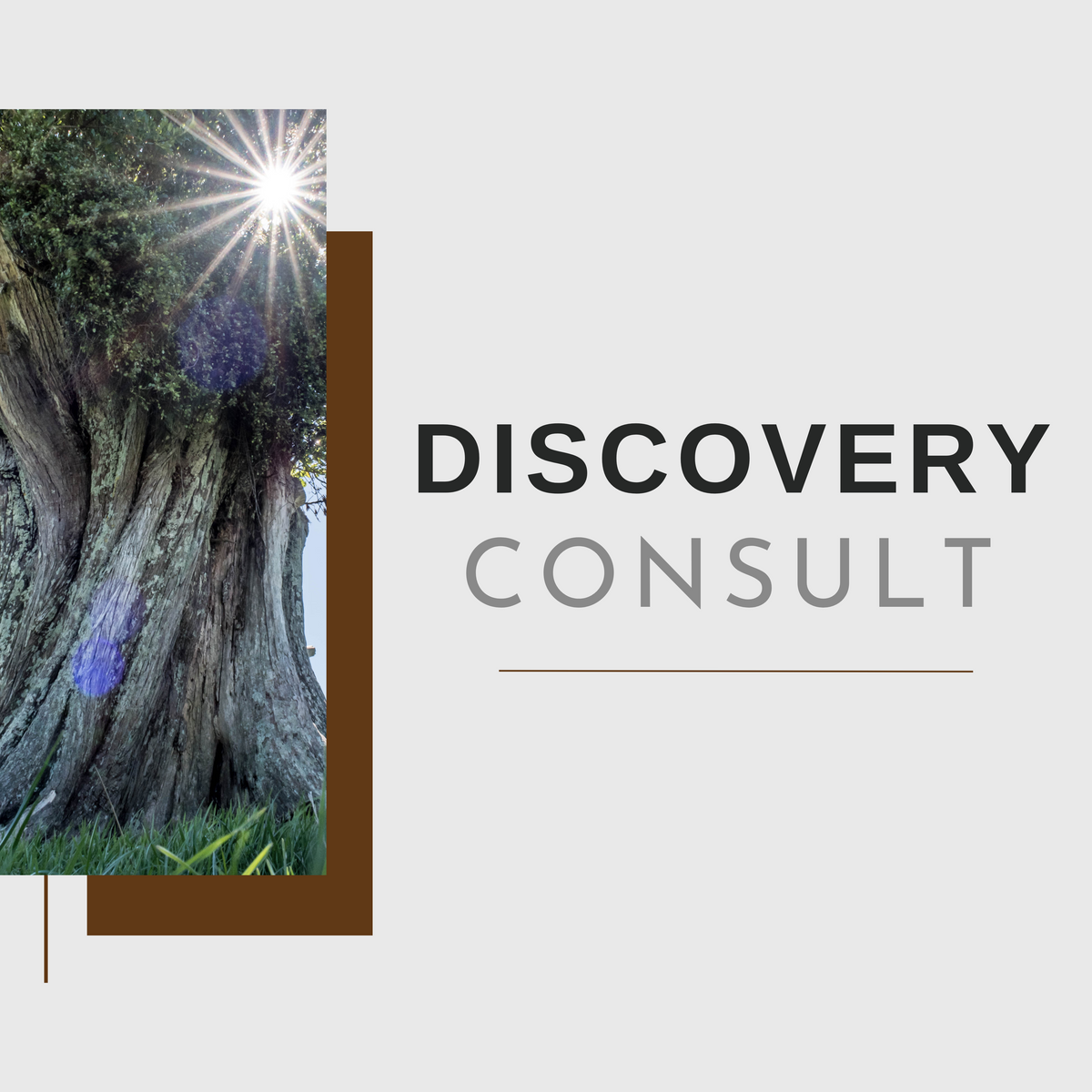 Discovery Consult