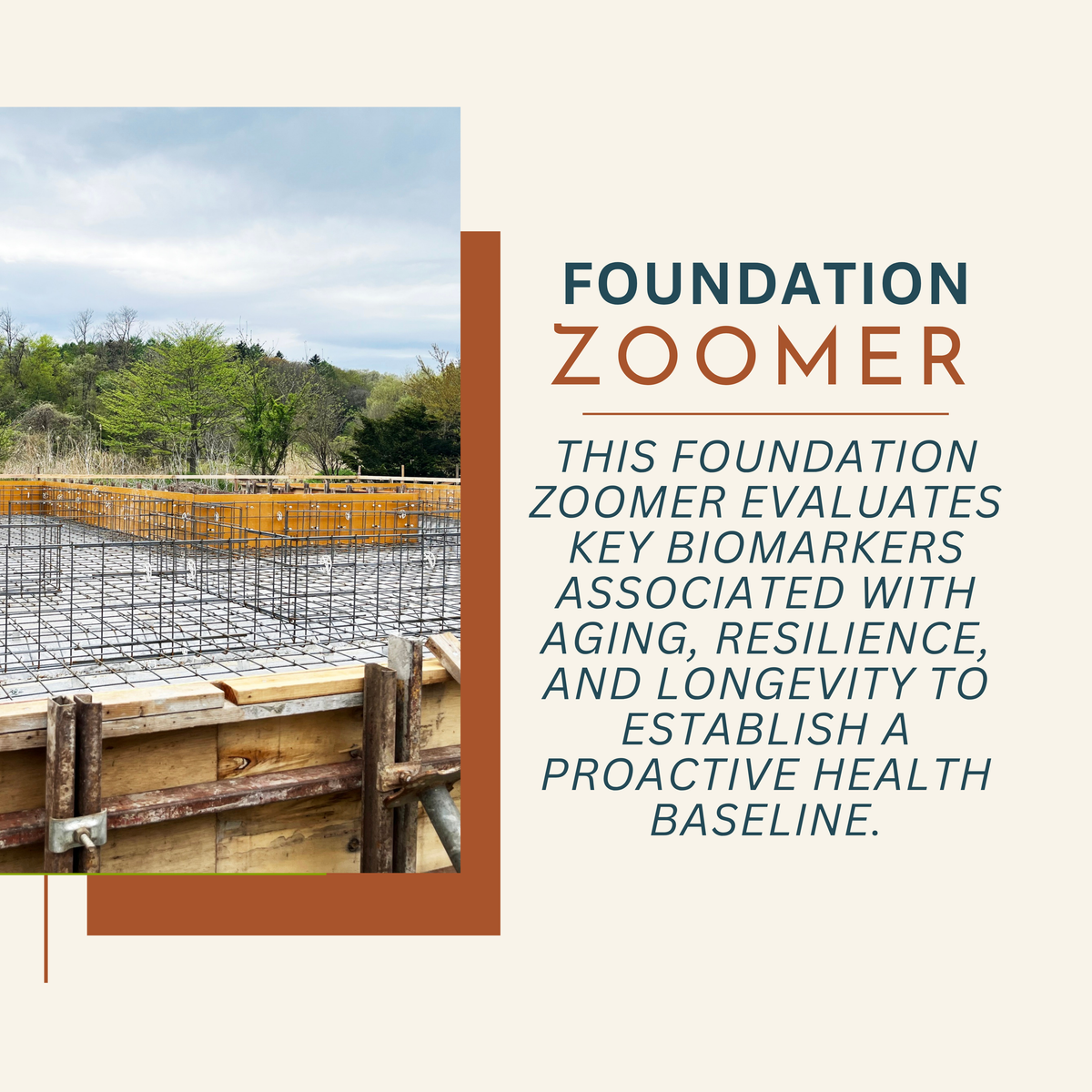Foundation Zoomer